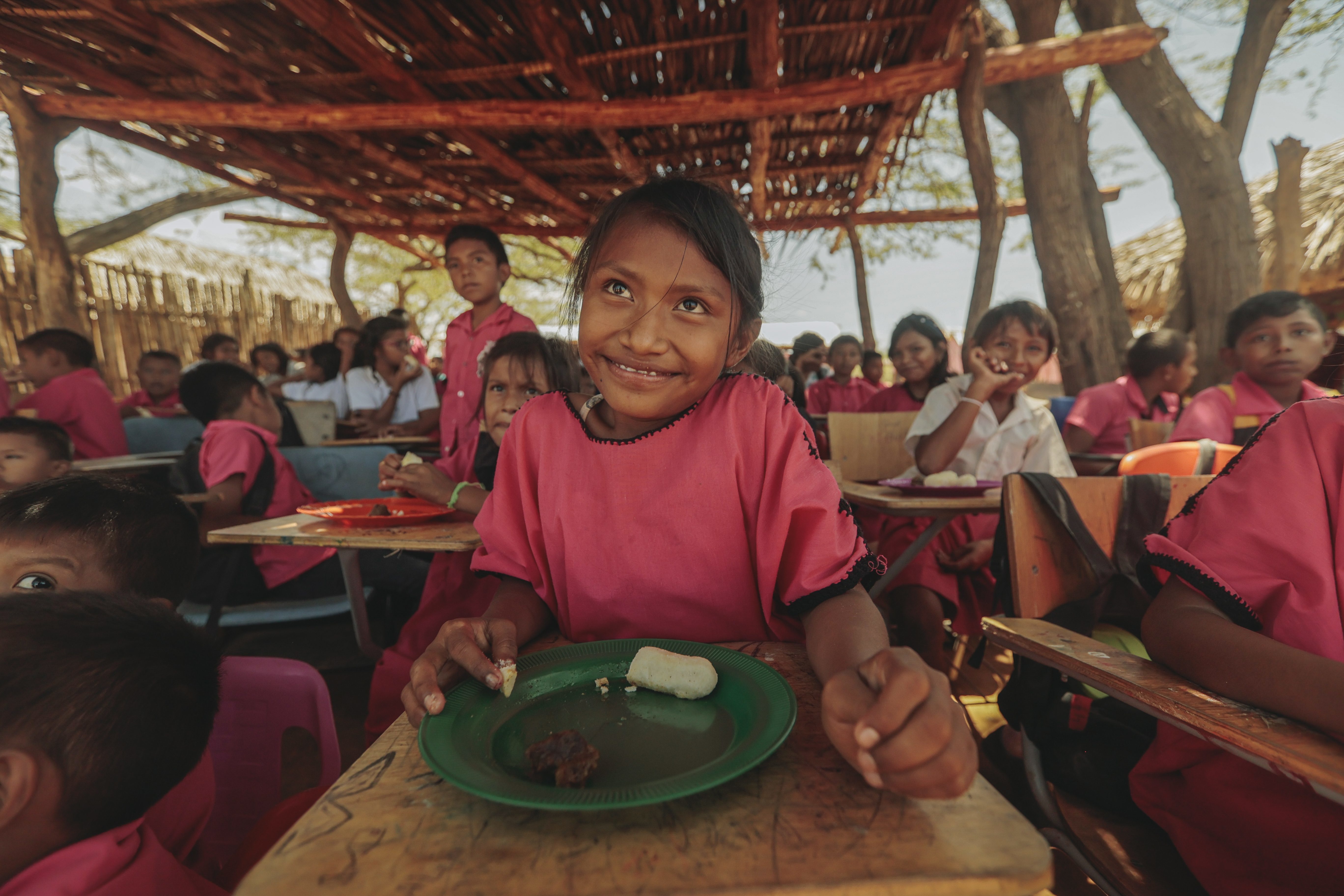 School Nutrition & Meal Programs